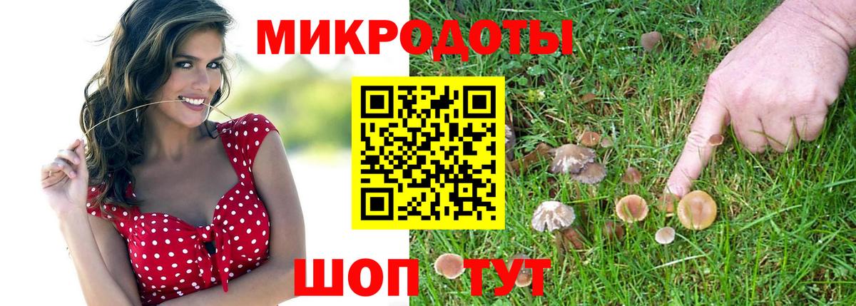 Бошки Шишки Заводоуковск