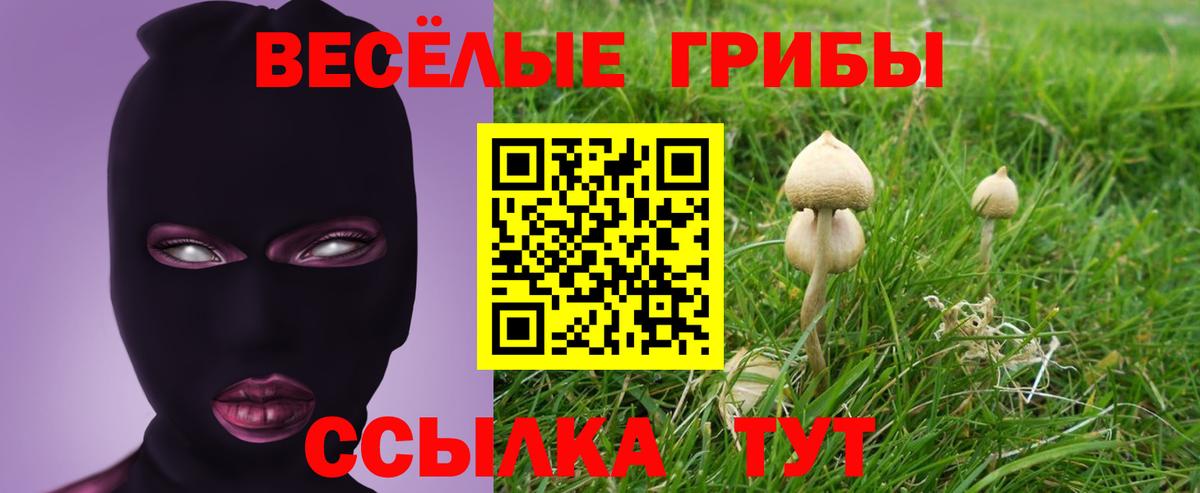 Псилоцибиновые грибы мицелий  Вход с VPN  Заводоуковск 